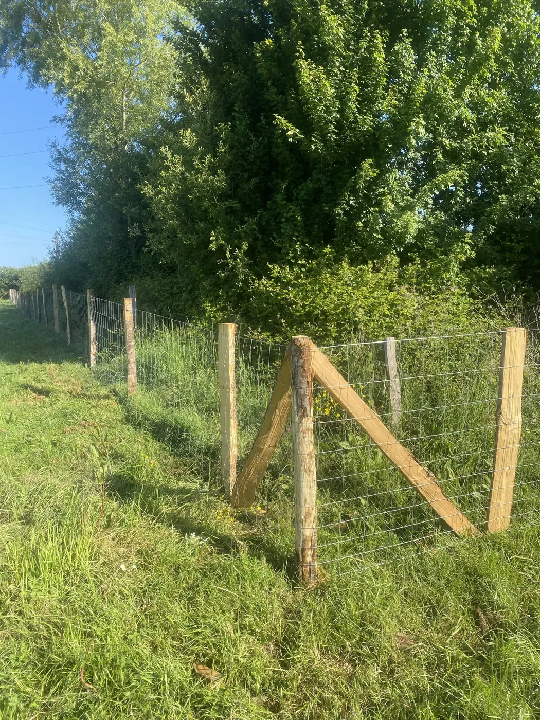 Grillage sur piquets bois avec jambe de force en angle