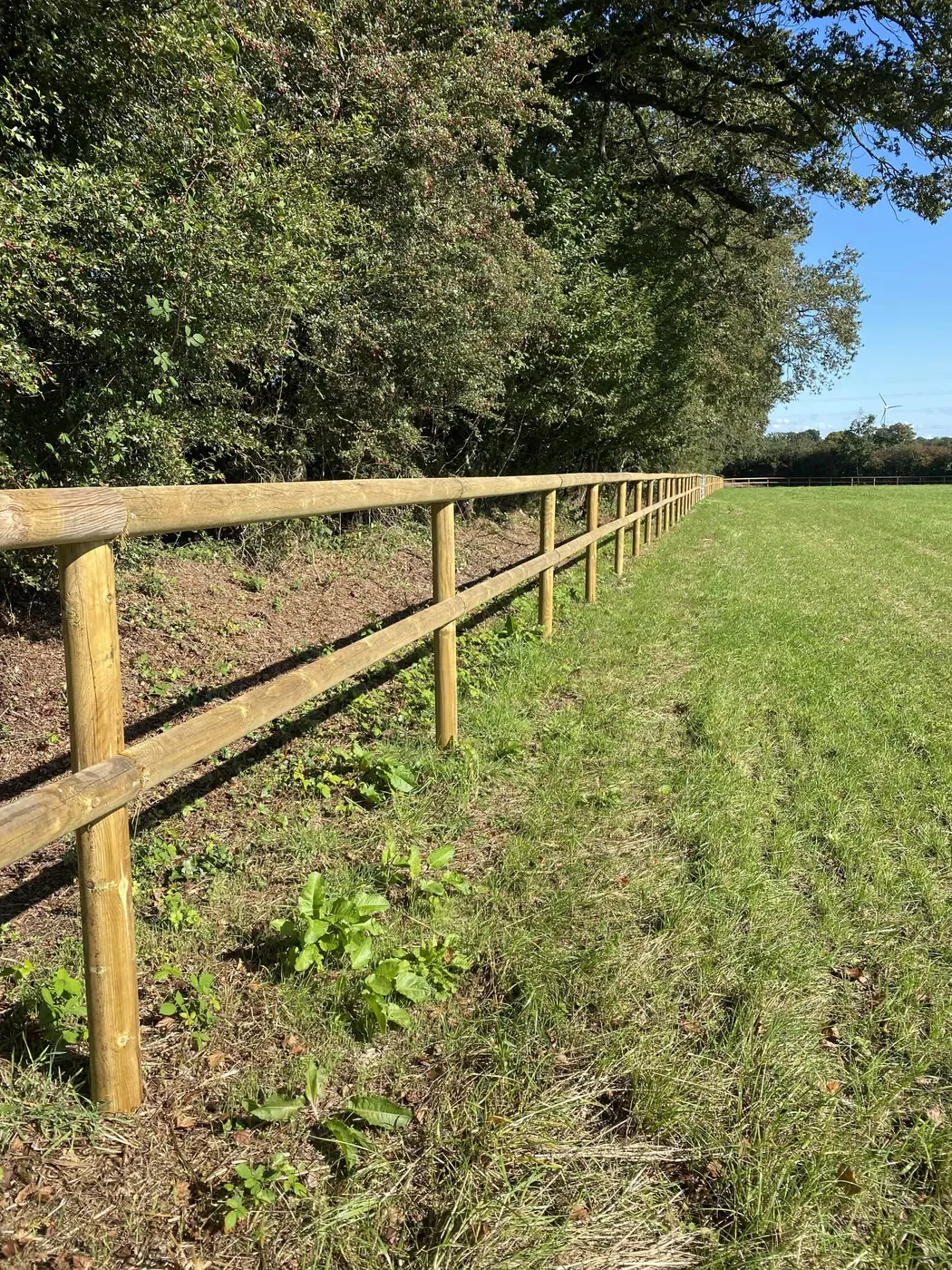 Clôture bois à deux lices en limite de pâture