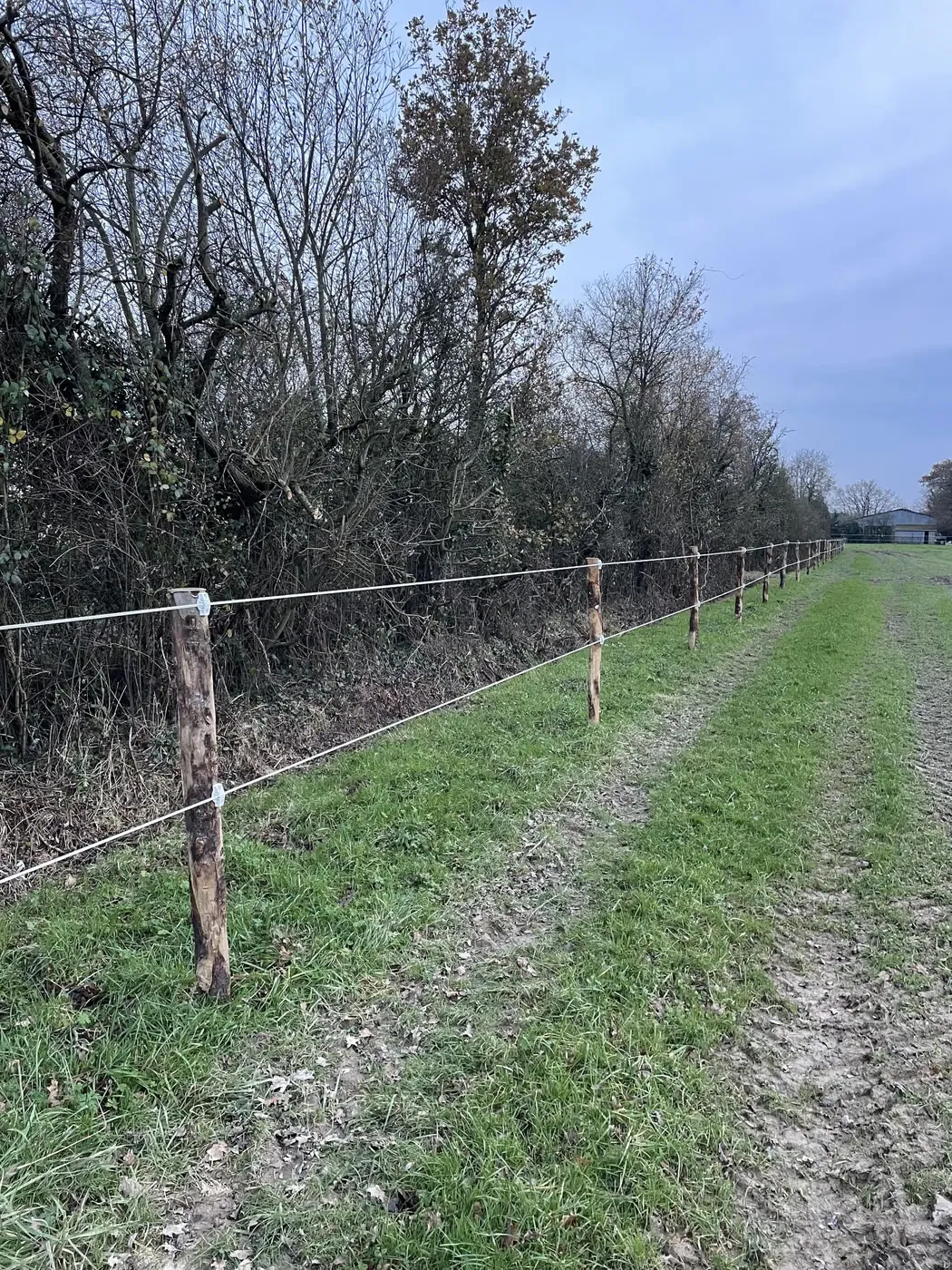 Clôture posée le long d’une haie en bordure de parcelle