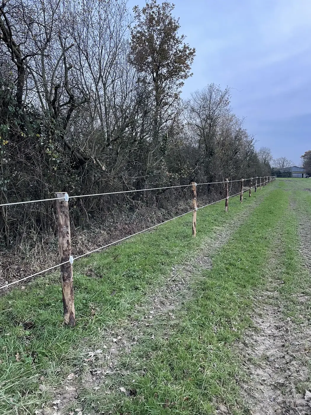 Clôture posée le long d’une haie en bordure de parcelle