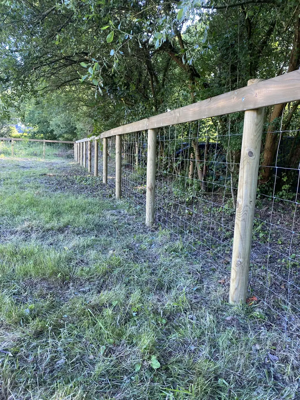 Grillage haut sur piquets bois installé sous des arbres