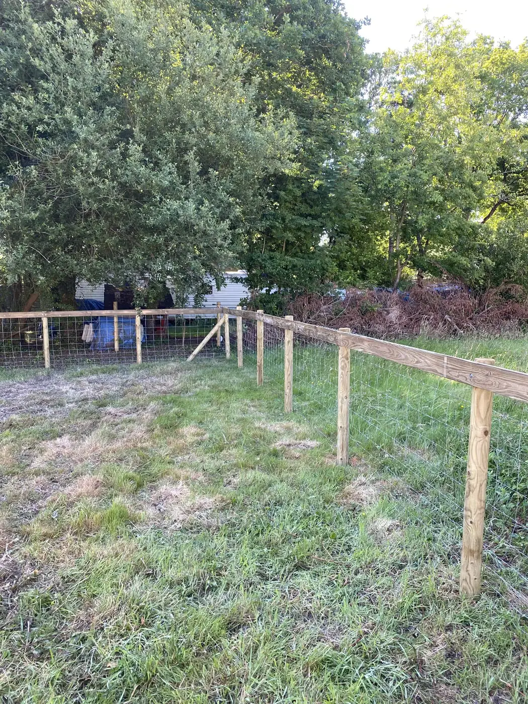 Grillage doublé d’une lice bois haute en limite de terrain