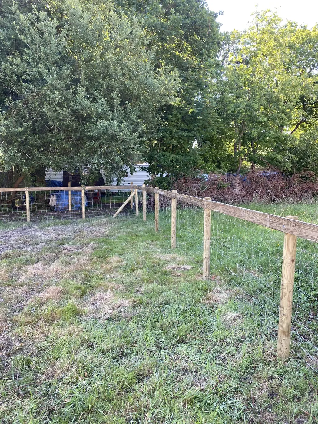 Grillage doublé d’une lice bois haute en limite de terrain