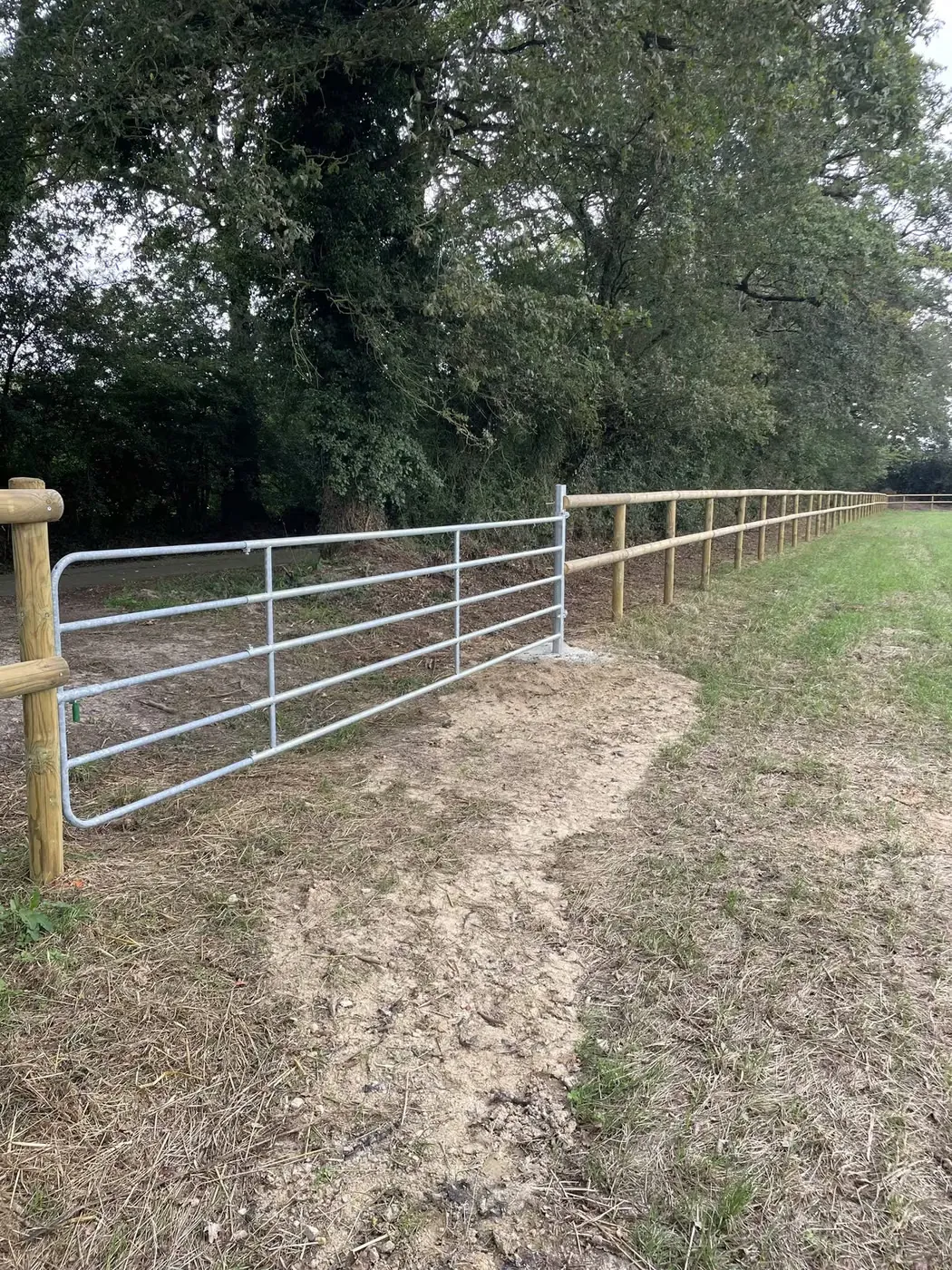 Portail métallique galvanisé entre deux piquets bois
