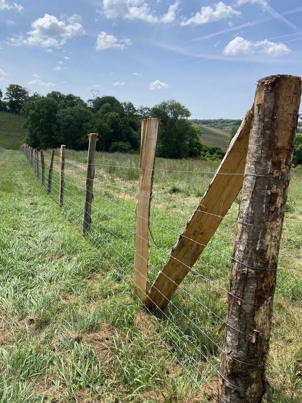 Détail d’un piquet d’angle en bois avec jambe de force et grillage noué