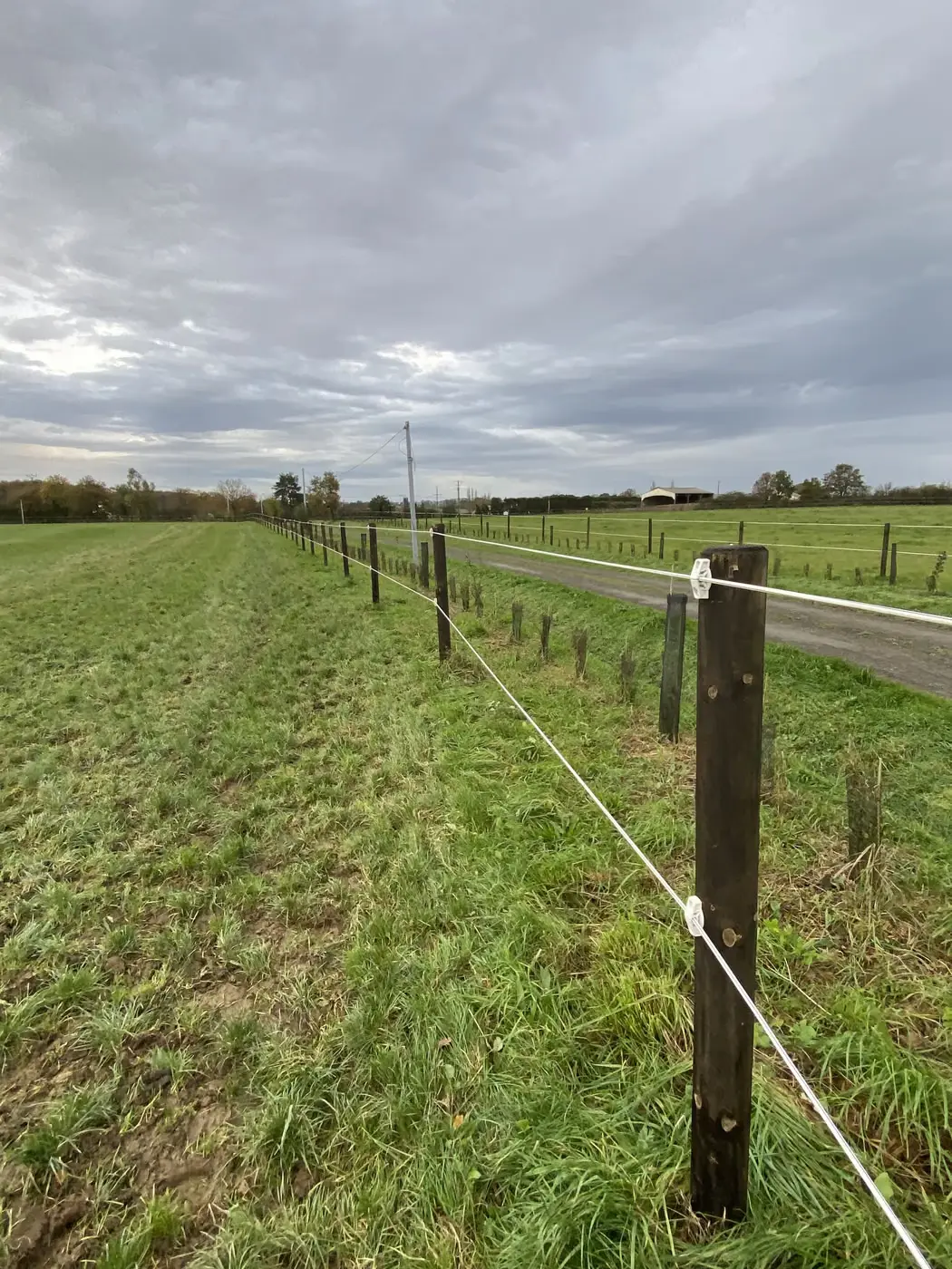 Clôture électrique à fils le long d’une route de campagne