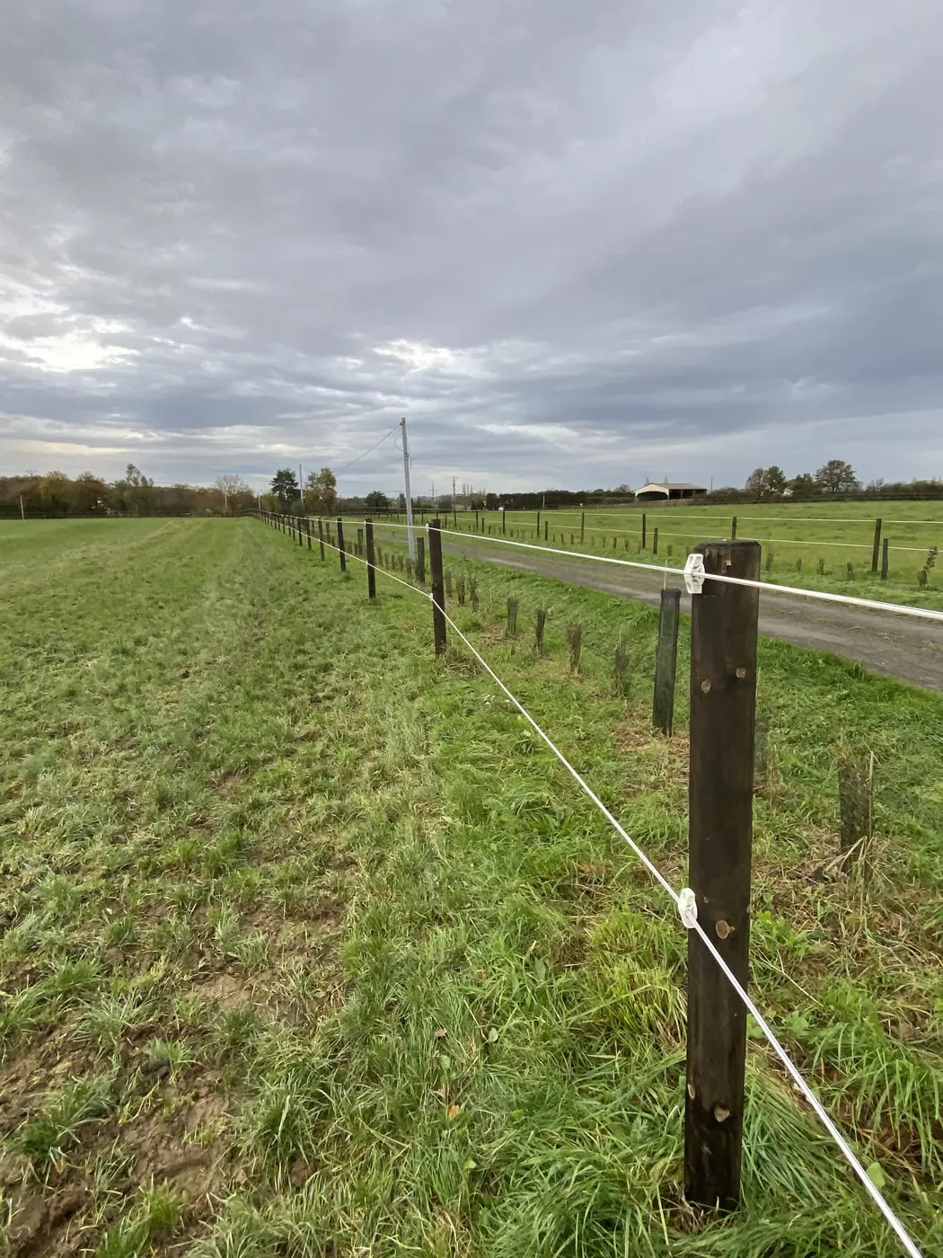 Clôture électrique à fils le long d’une route de campagne