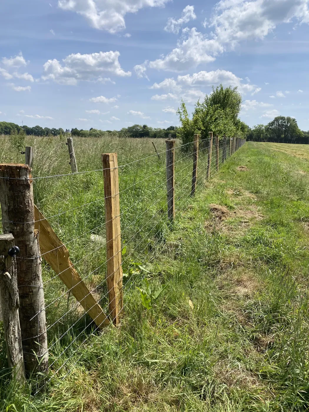 Grillage et jambe de force en bordure de champ cultivé