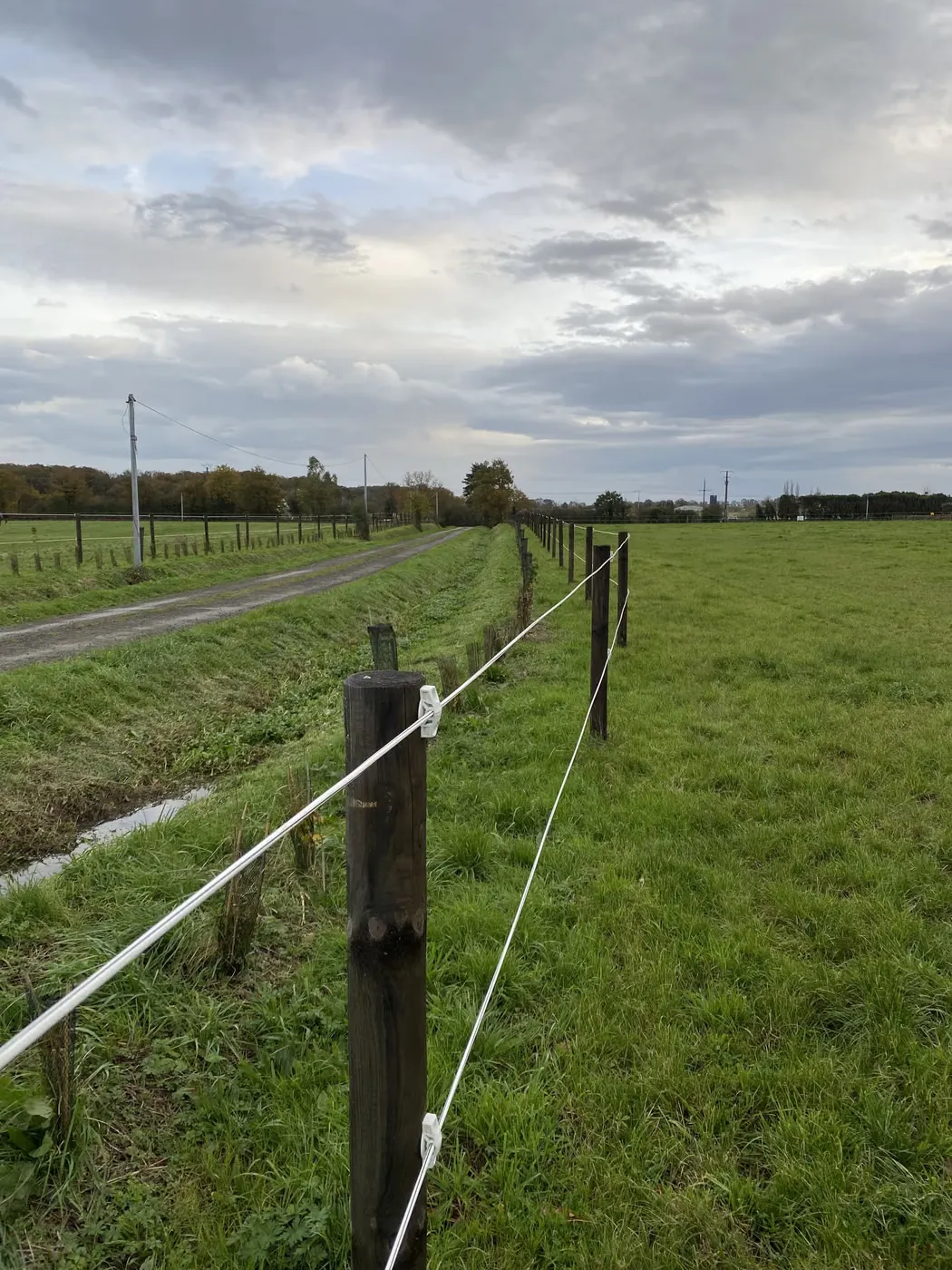 Clôture électrique bordant un chemin d’exploitation