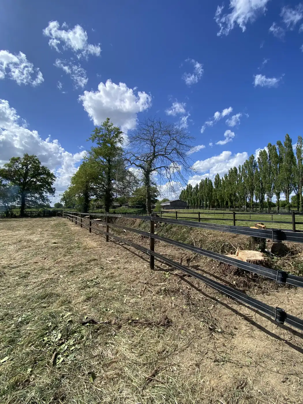 Bordure broyée le long d’une clôture noire, bois coupé rangé