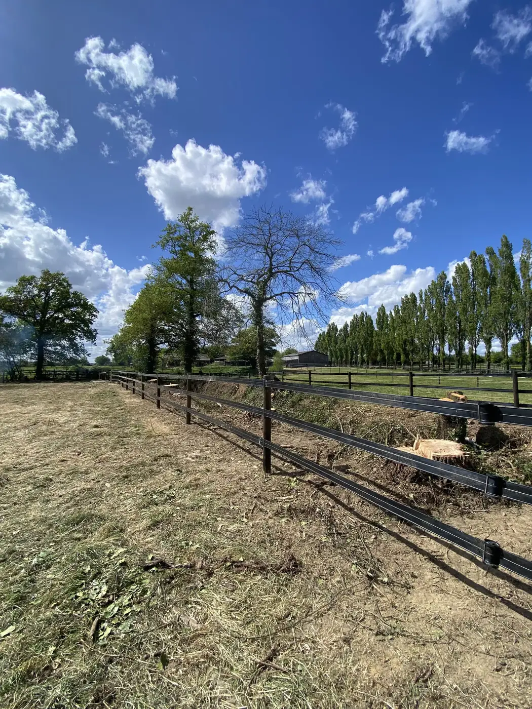 Bordure broyée le long d’une clôture noire, bois coupé rangé
