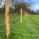 Clôture barbelée sur piquets châtaignier en pâture bovine, Loire-Atlantique