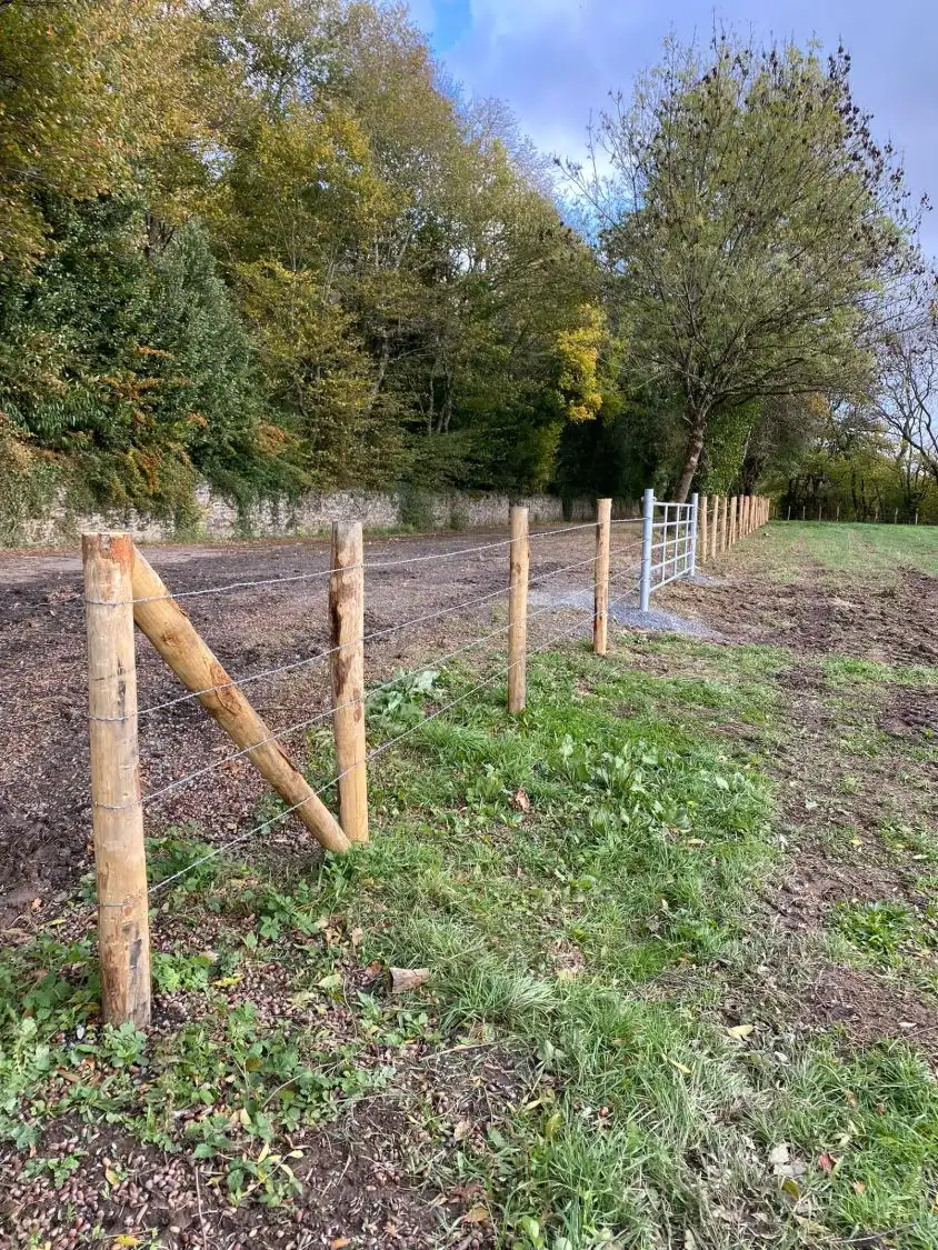 Angle de clôture bovine avec jambe de force et portail galvanisé, élevage près de Châteaubriant (44)