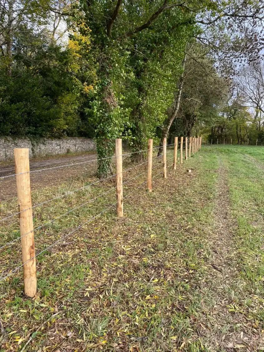 Clôture barbelée quatre fils bordant un chemin d’exploitation, élevage bovin en Loire-Atlantique