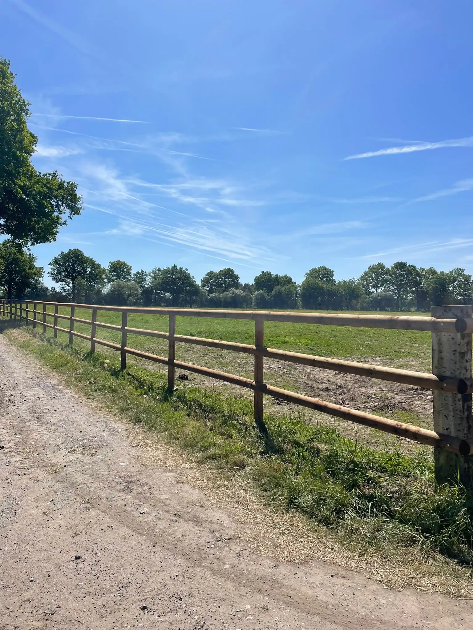 Clôture équestre en lices bois à trois rangs le long d’un paddock