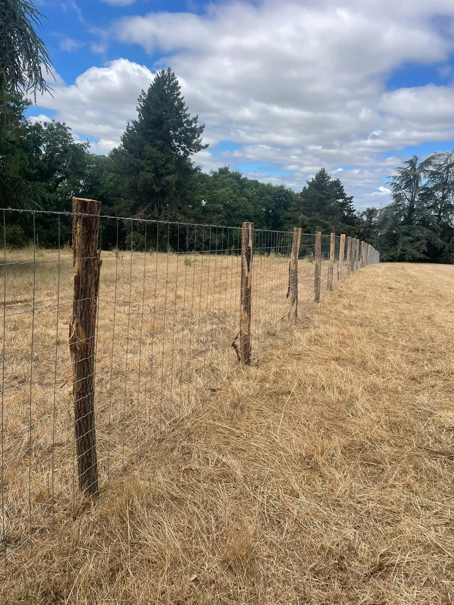 Clôture anti-gibier en grillage noué haute résistance autour d’une prairie, Loire-Atlantique