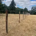 Clôture anti-sanglier en grillage noué haute résistance, Loire-Atlantique