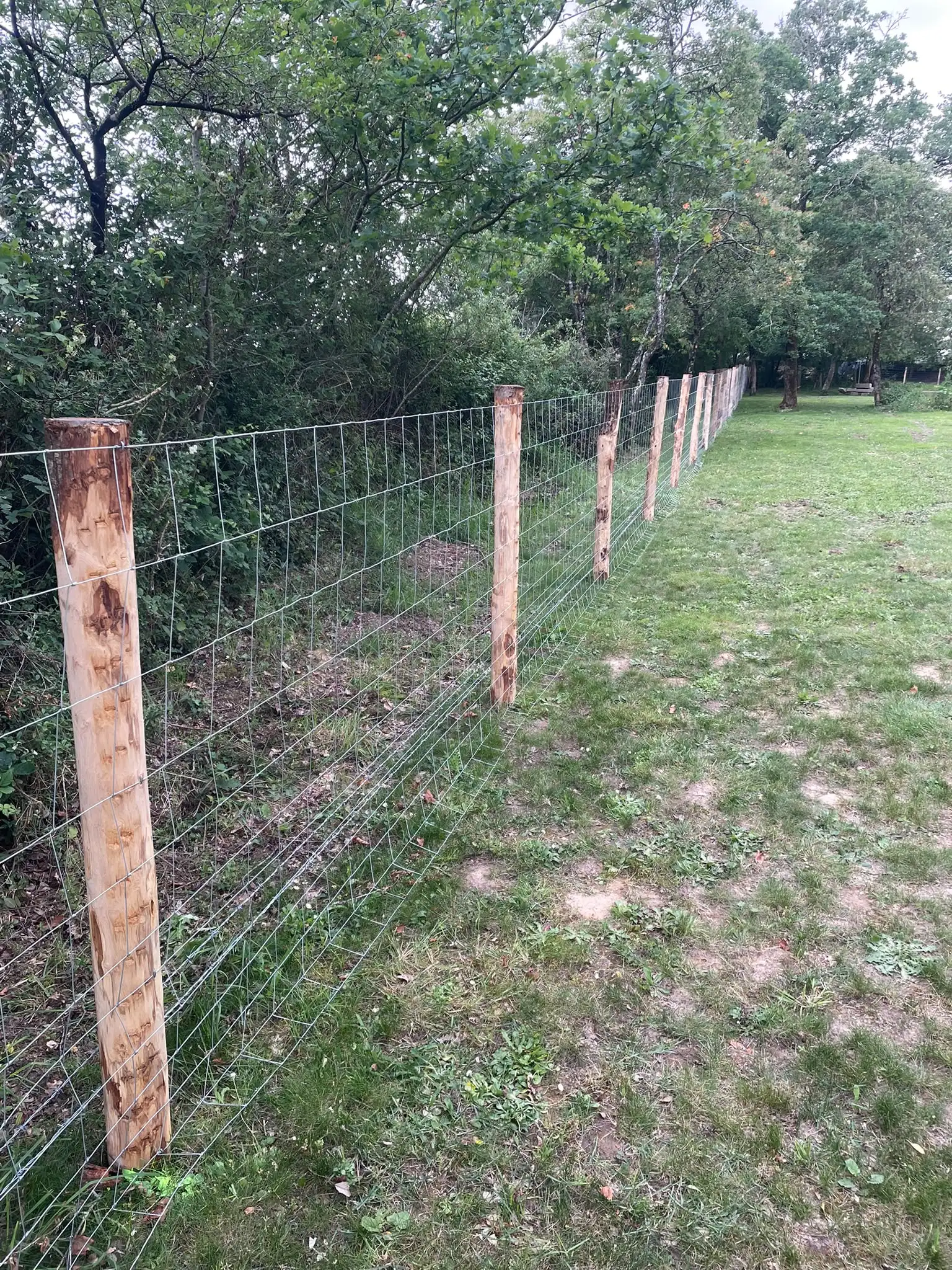 Clôture anti-gibier en grillage renforcé posée en lisière de bois, Loire-Atlantique