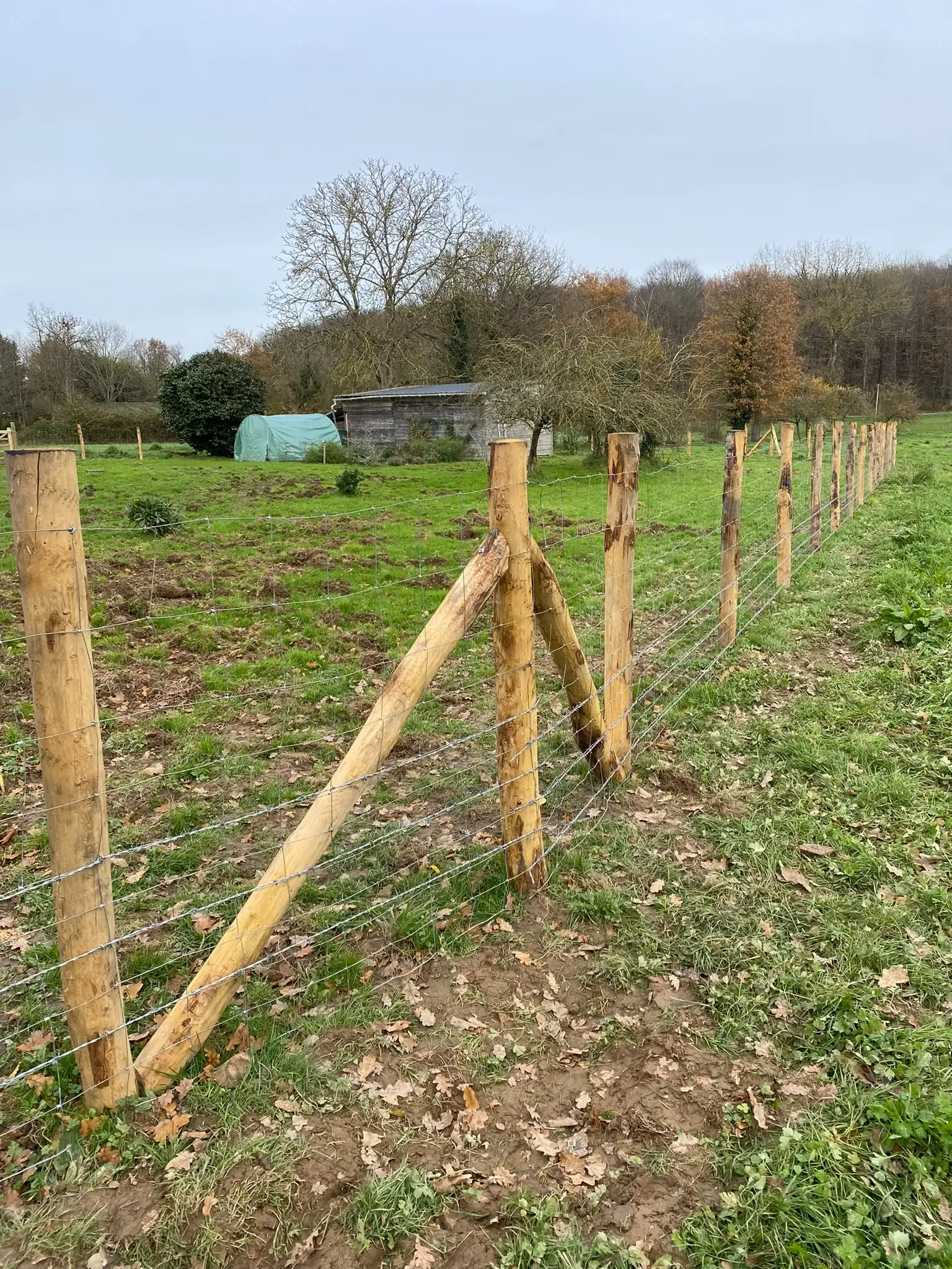 Angle de clôture contre le gibier avec jambe de force châtaignier