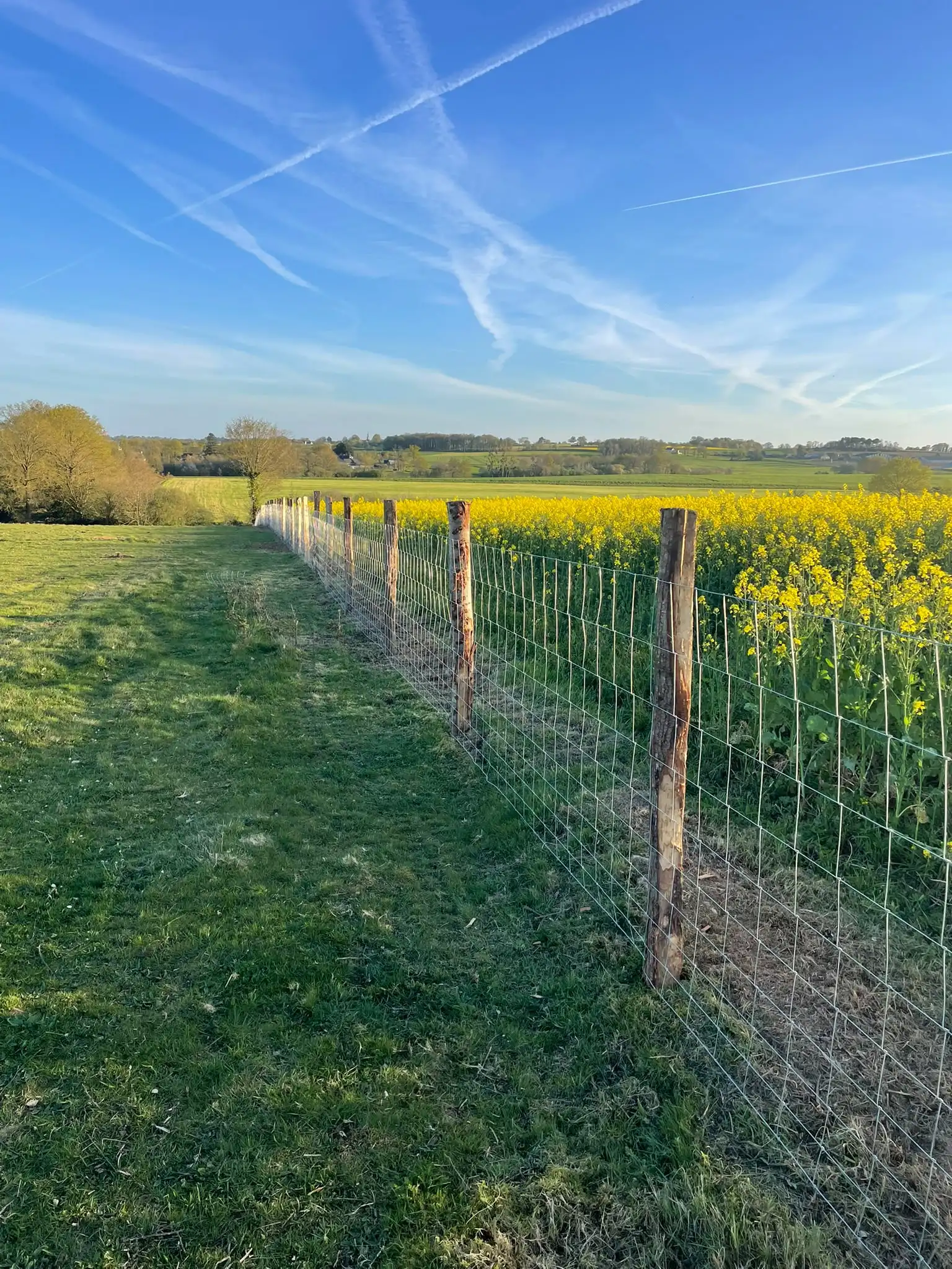 Clôture en grillage noué sur piquets châtaignier, Loire-Atlantique