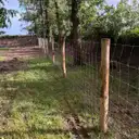 Clôture anti-sanglier en grillage noué sur piquets châtaignier en lisière de bois, Loire-Atlantique