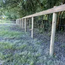 Grillage haut tendu sur piquets bois sous couvert d’arbres