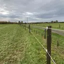 Clôture à fils tendus sur piquets bois en bordure de prairie