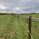 Clôture à fils tendus sur piquets bois en bordure de prairie