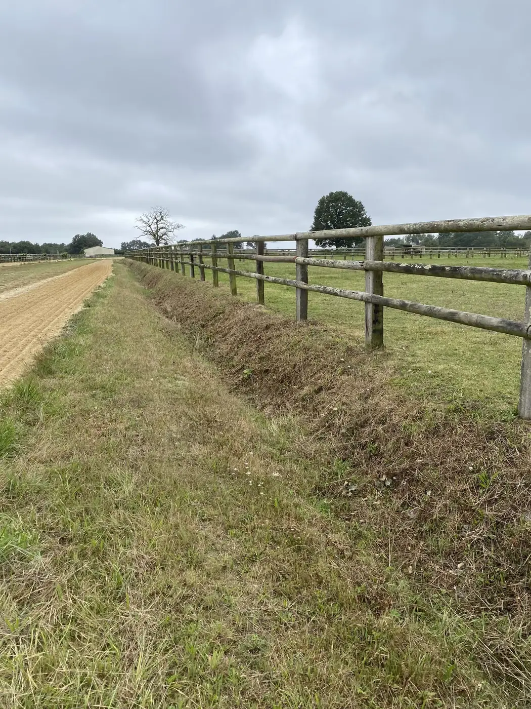 Ligne de clôture entièrement dégagée après débroussaillage, en bordure de champ