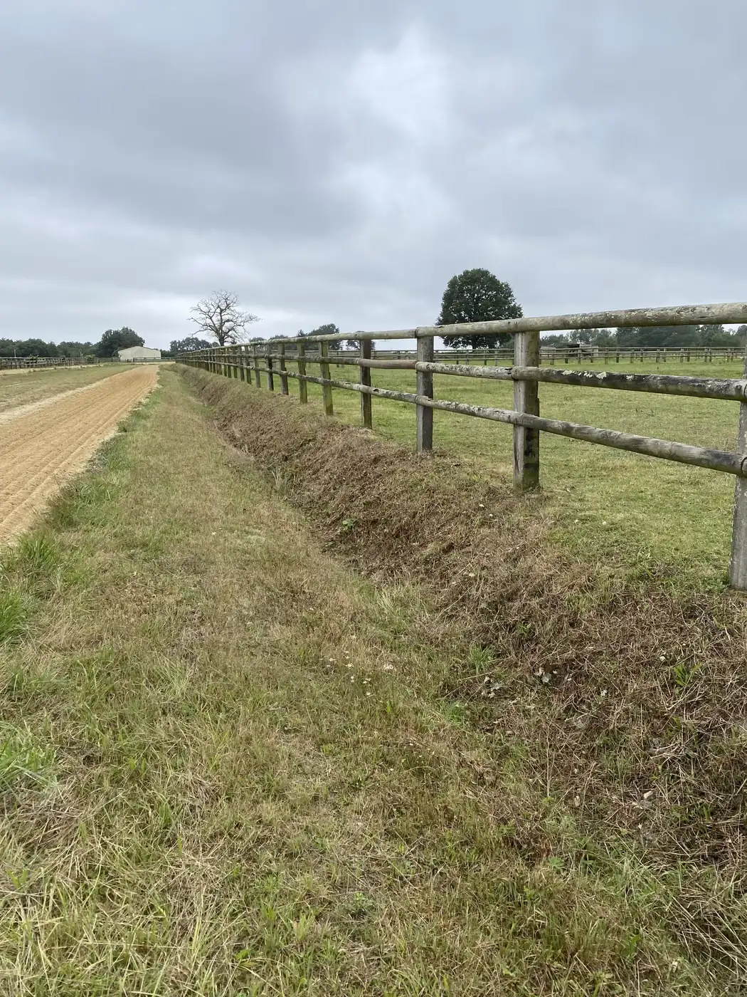 Ligne de clôture entièrement dégagée après débroussaillage, en bordure de champ