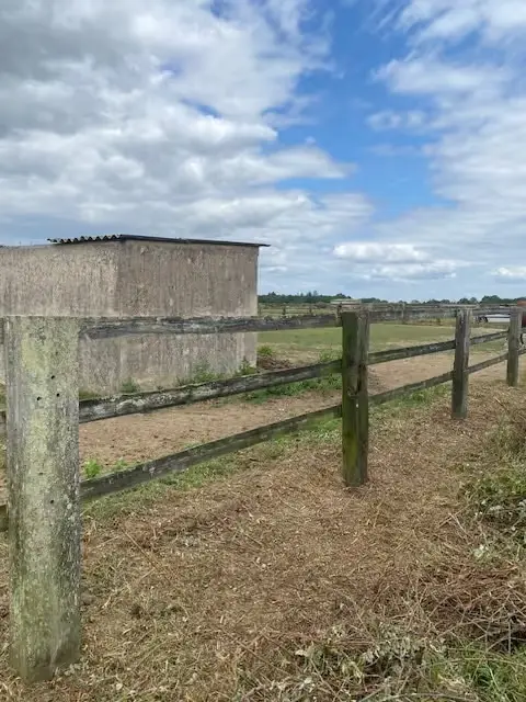 Clôture bois et abords du hangar dégagés après débroussaillage