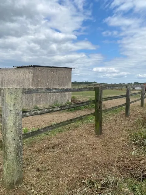 Clôture bois et abords du hangar dégagés après débroussaillage