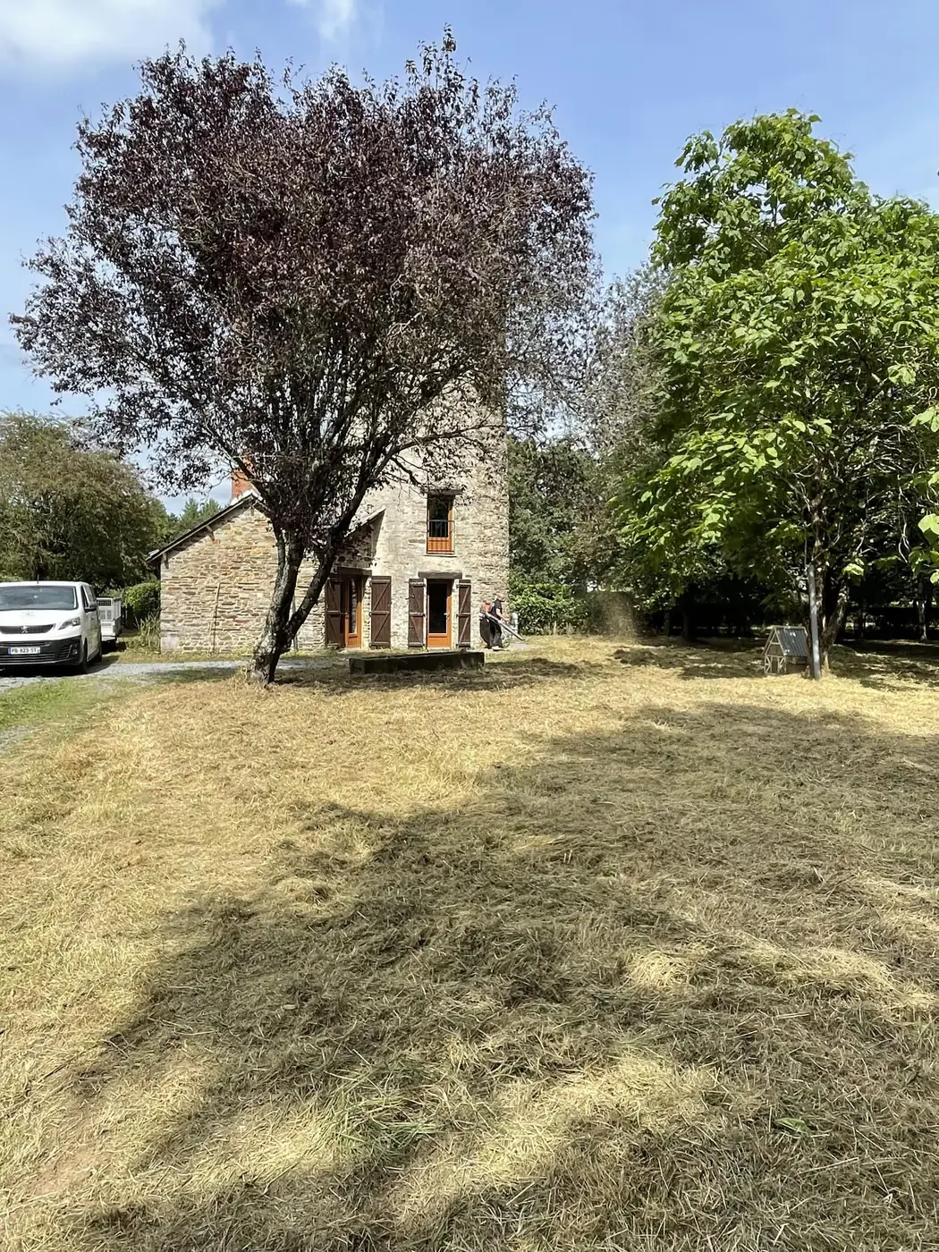 Herbe fauchée laissée au sol autour d’une maison en pierre