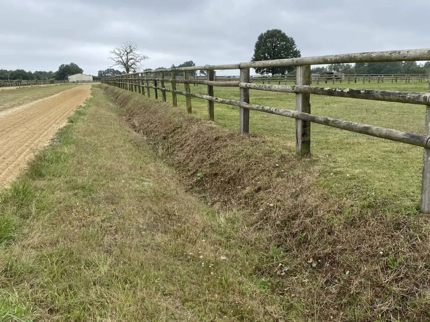 Le même talus débroussaillé, clôture dégagée
